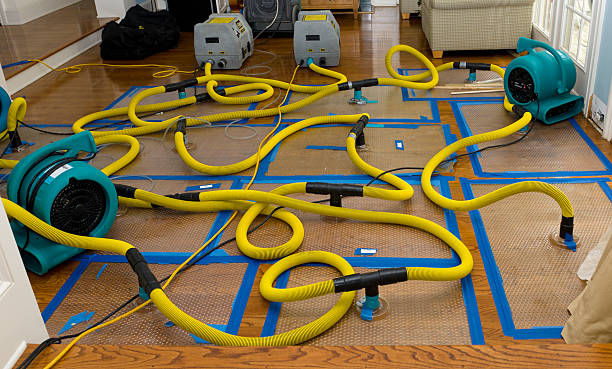Professional Structural Drying And Dehumidification technician working in Madison, IN